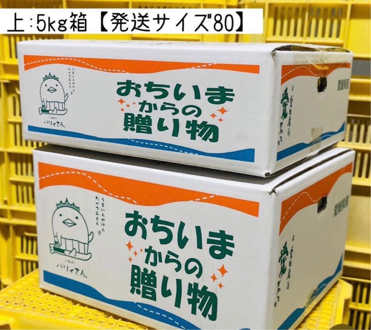 特別栽培の木成レモン 5kg箱 【愛媛県の農家直送】栽培期間中農薬不使用