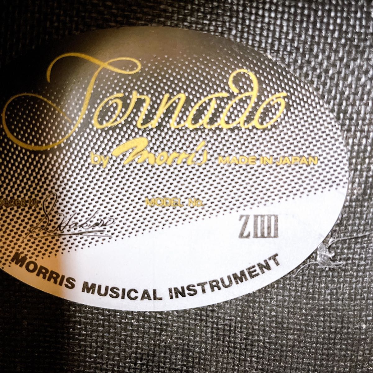 Tornado by MORRIS ZⅡⅡ / トルネード モーリス エレアコ 専用 Tornado by MORRIS ZⅡⅡ / トルネード モーリス エレアコ 専用