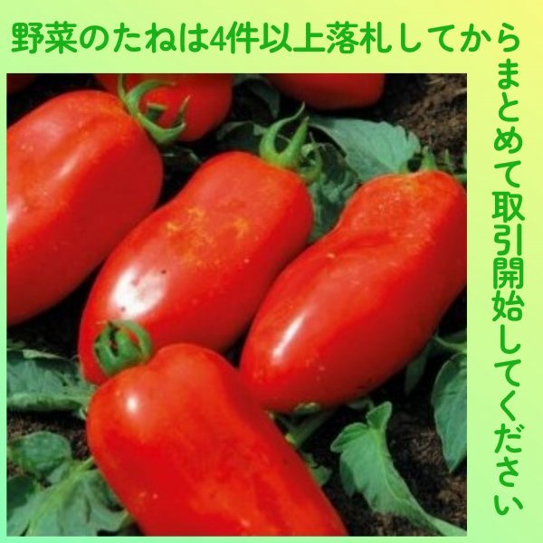 4件以上落札◆トマト種◆サンマルツァーノ2　10粒◆固定種 加熱用 調理用 中玉イタリアントマト_画像1