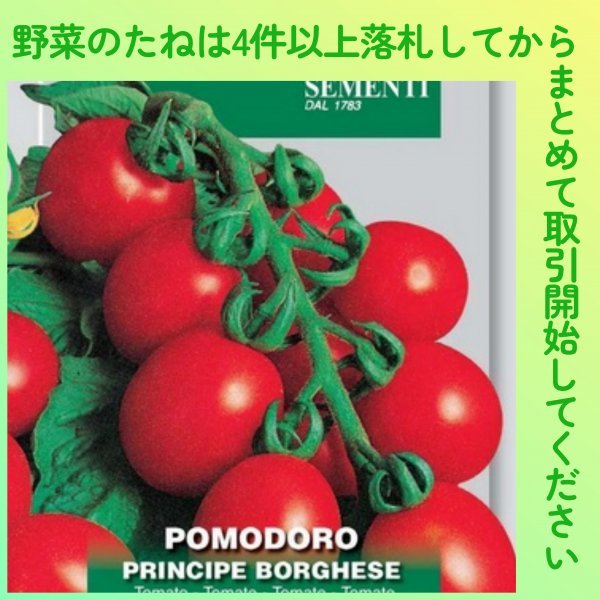 4件以上落札◆トマト種◆プリンチペ・ボルゲーゼ 10粒◆固定種 加熱用 調理用 イタリアントマト ドライトマト_画像1