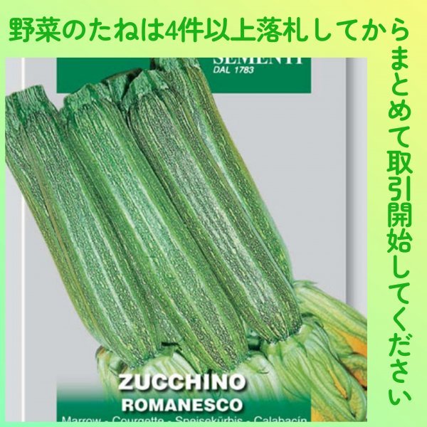 4件以上落札◆ズッキーニ種◆ズッキーニ・ロマネスコ 3粒◆固定種 ROMANESCO イタリア_画像1