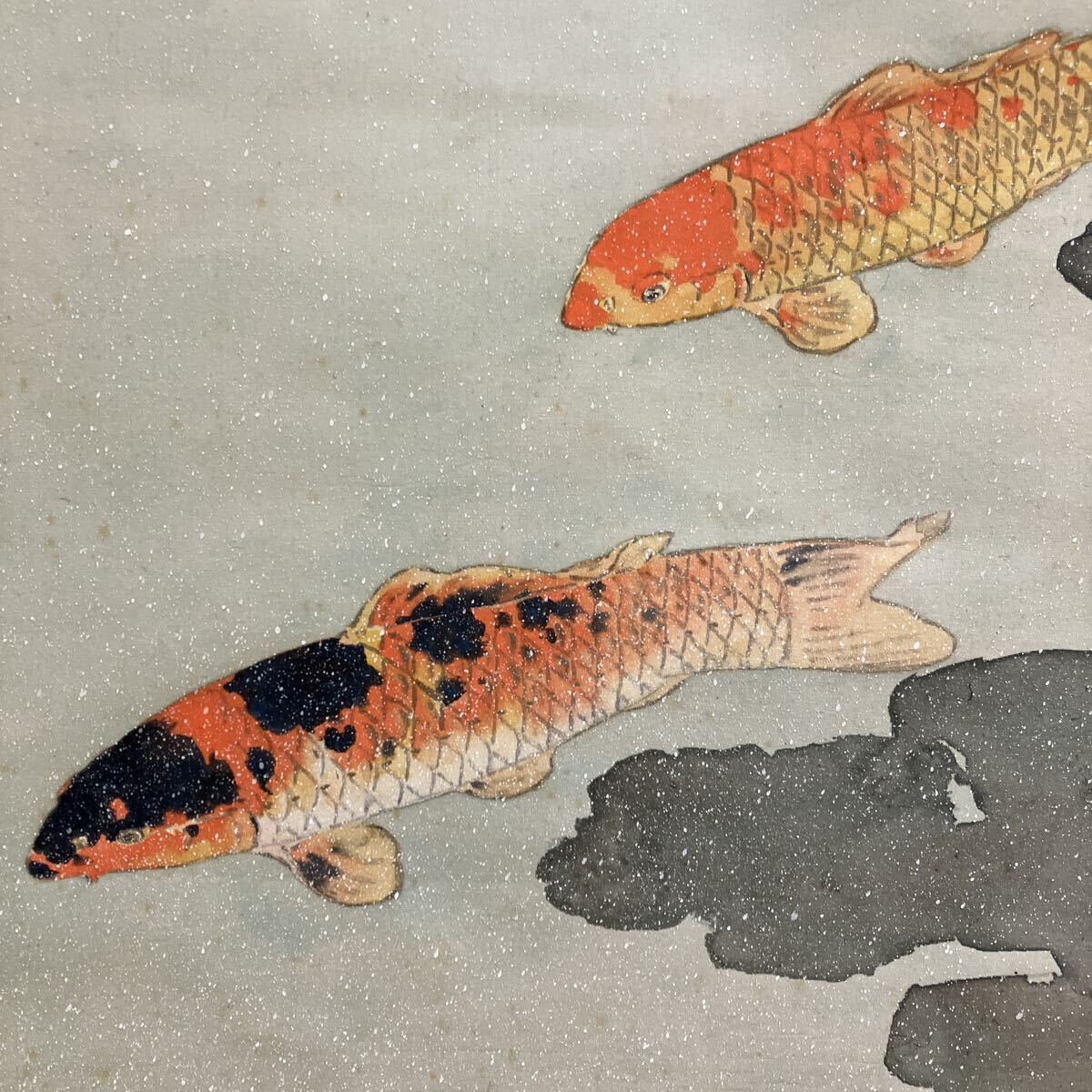 【真作】掛軸 高知県出身 下司凍月 題画：遊鯉之図　共箱付_画像5