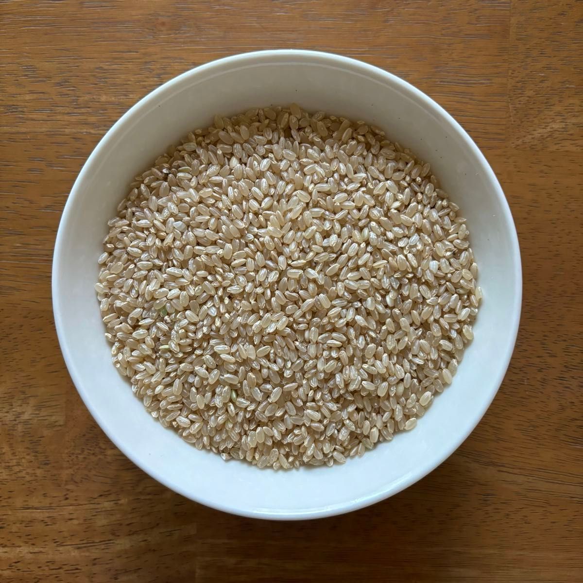 玄米 約1.2kg 23年度産