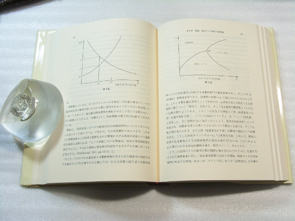 D/ケインズの経済学と価値・分配の理論 ポスト・ケインジアン叢書 日本経済評論社 1989年_画像5