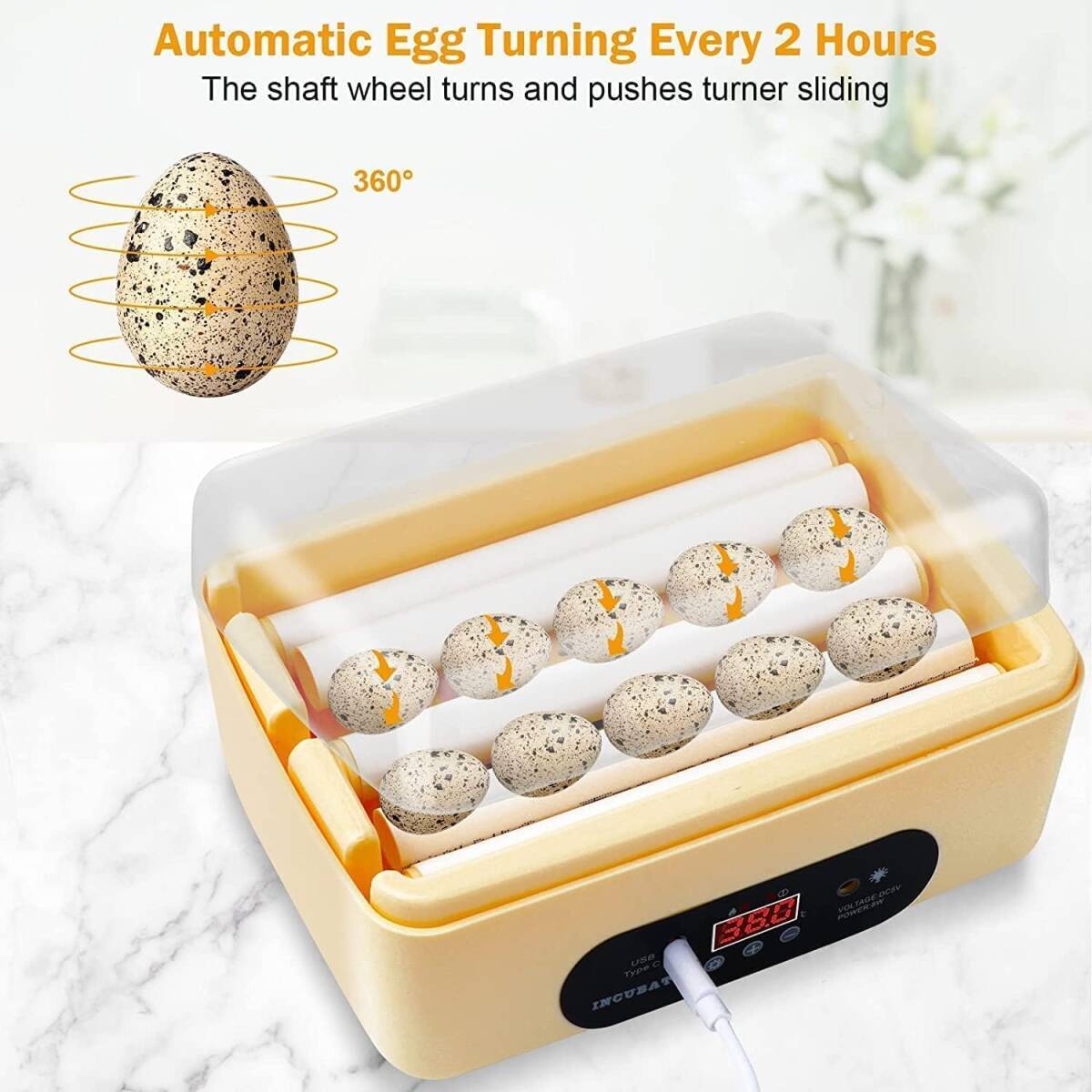 自動孵卵器 インキュベーター 孵化器 自動転卵 デジタル表示 自動温度制 湿度保持 子供教育用 家庭用 孵化率アップ 卵4~6個 鳥類専用_画像9