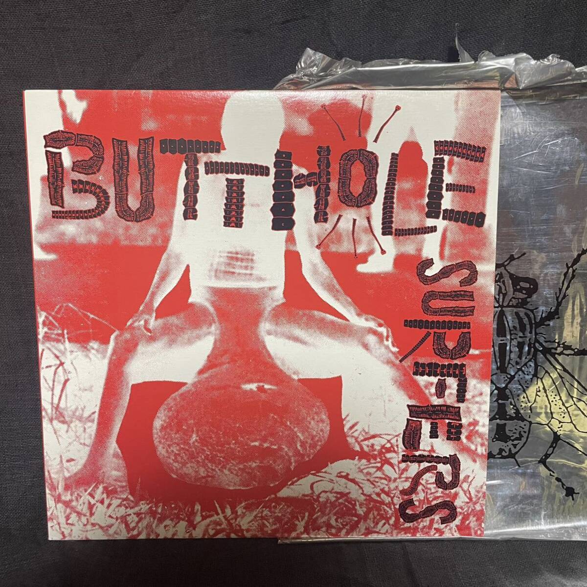 Butthole Surfers ／ 『Butthole Surfers』 10インチレコードの画像3