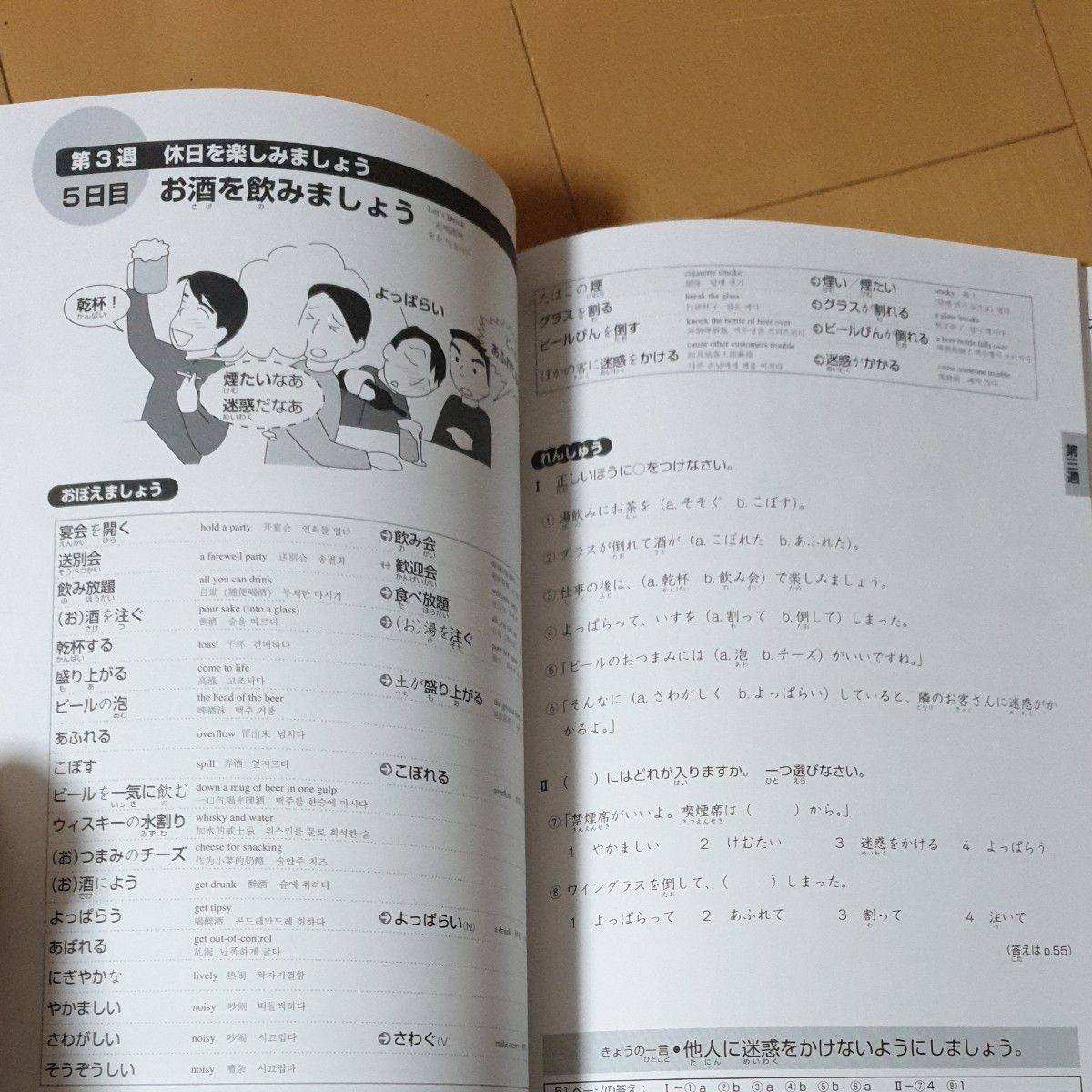 日本語総まとめ　Ｎ３語彙 （「日本語能力試験」対策） 佐々木　仁子　松本　紀子