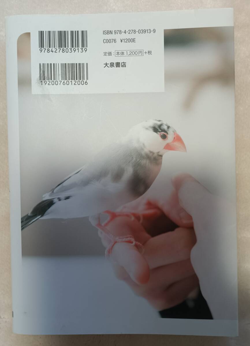 ... документ птица. .. person * обычная цена 1320 иен *