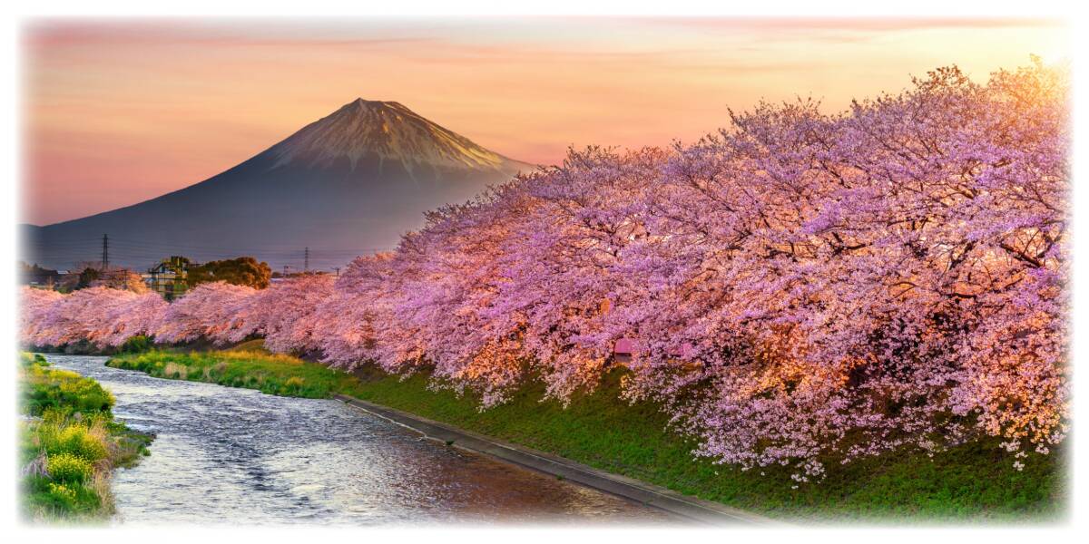 【壁掛け Lサイズ オーダー無料】富士山 さくら 桜 渓流 景色 写真 日本風景 ランプ 照明 看板 置物 雑貨 ライトBOX 電飾看板 電光看板