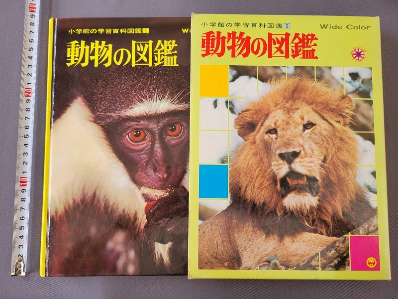 1989年49刷　動物の図鑑　小学館　学習百科図鑑　昭和　当時物　/C_画像1