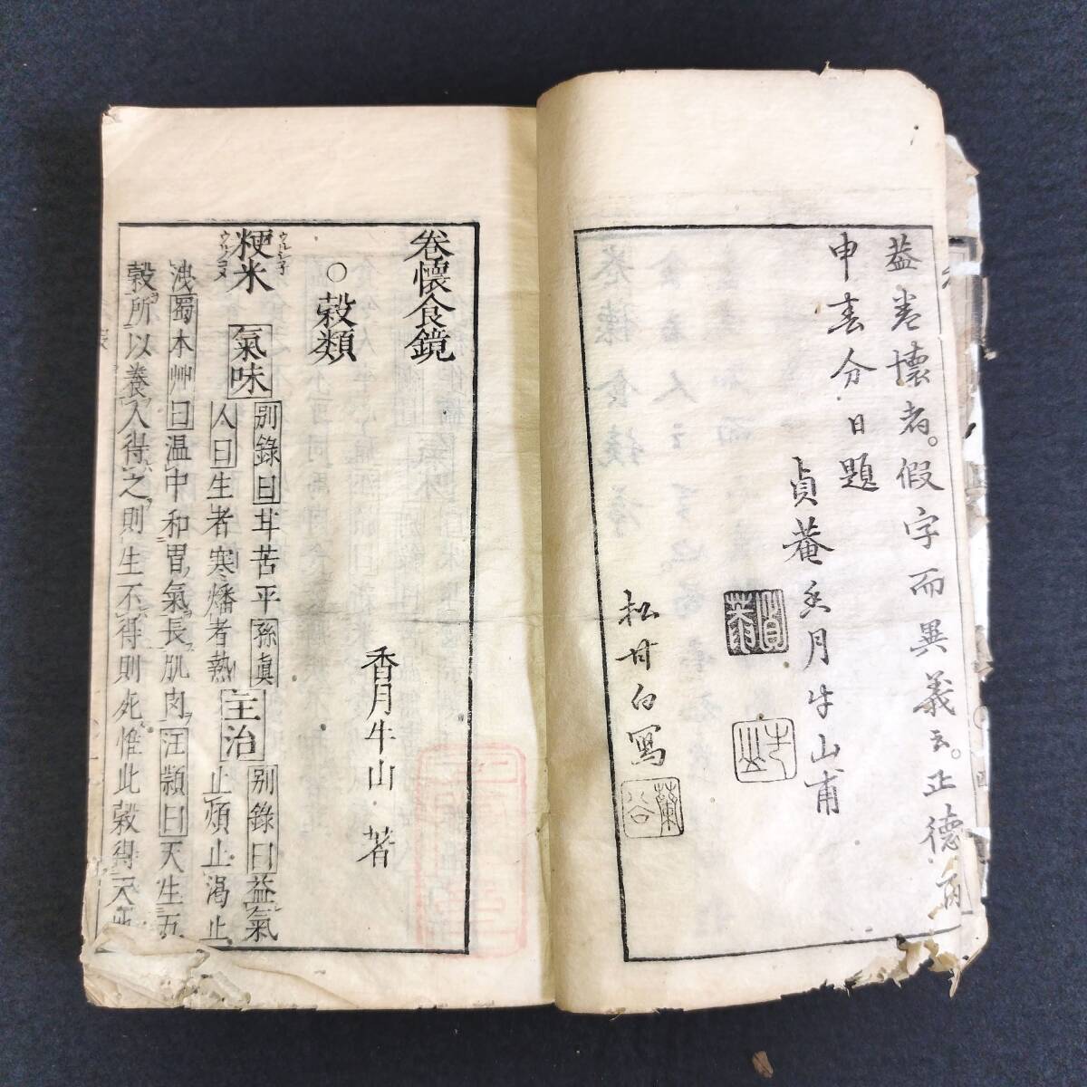 Y100 医学書 薬学 本草 漢方 鍼灸◆巻懐食鏡◆医書 漢籍 牛山香月 史料 資料 江戸 時代物 木版 骨董 古美術 古典籍 古文書 和本 古書の画像4