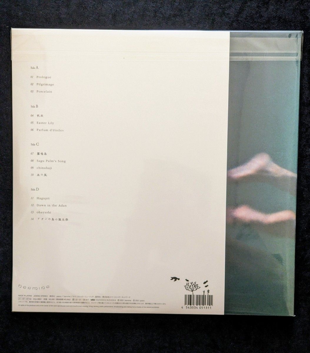 廃盤LP】青葉市子「アダンの風」アナログレコード 廃盤LP】青葉市子「アダンの風」アナログレコード