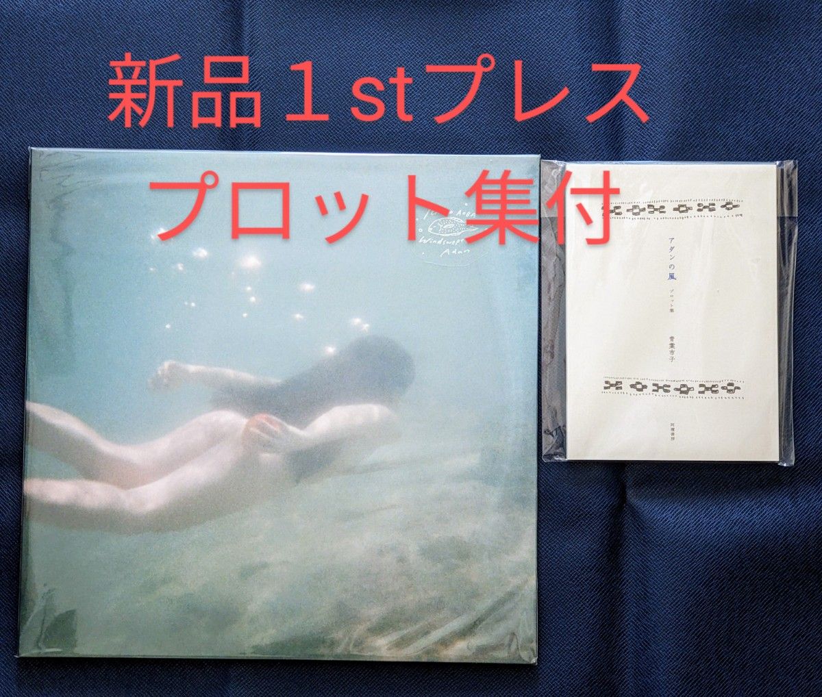 青葉市子 アダンの風 (国内盤1stプレス2枚組アナログレコード 青葉市子 アダンの風 (国内盤1stプレス2枚組アナログレコード