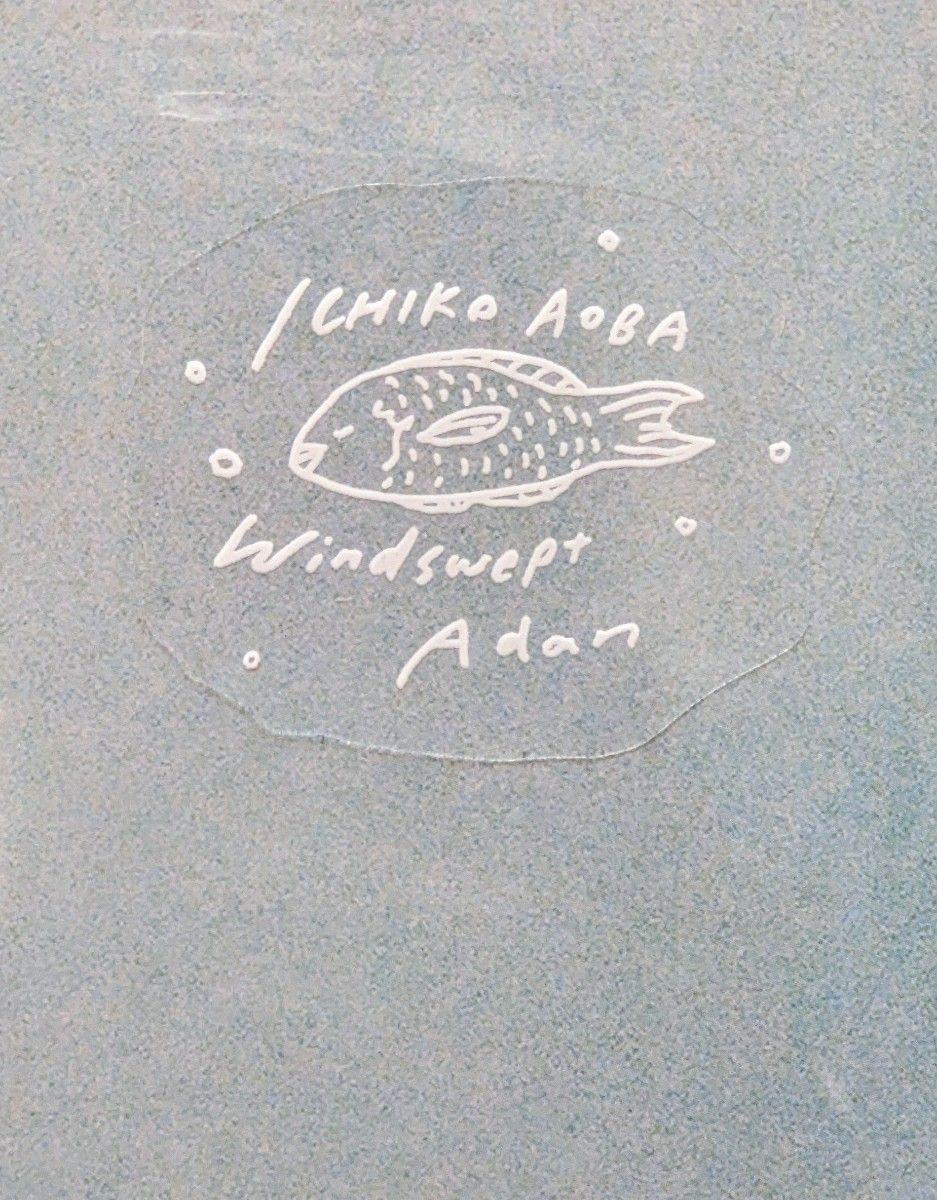 青葉市子 アダンの風 (国内盤1stプレス2枚組アナログレコード 青葉市子 アダンの風 (国内盤1stプレス2枚組アナログレコード