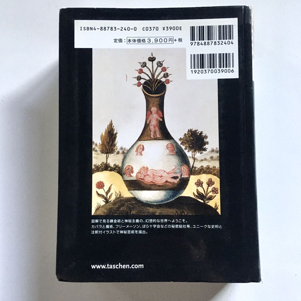 錬金術と神秘主義 ヘルメス学の博物館 Alexander Roob|Yahoo 錬金術と神秘主義 ヘルメス学の博物館 Alexander Roob|Yahoo