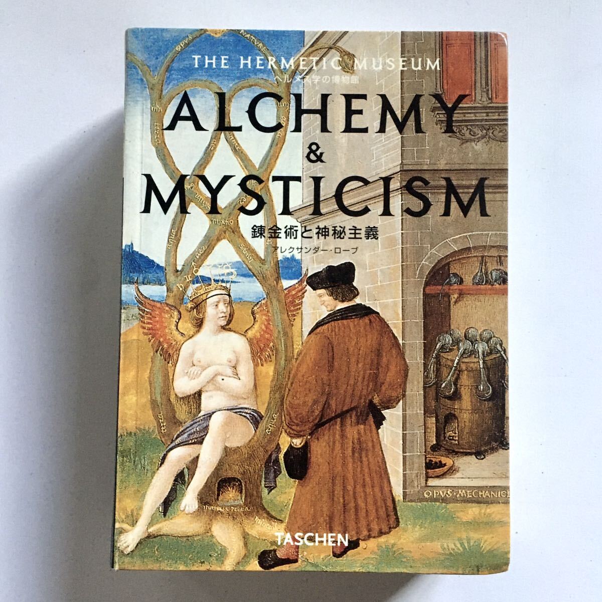 錬金術と神秘主義 ヘルメス学の博物館 Alexander Roob|Yahoo 錬金術と神秘主義 ヘルメス学の博物館 Alexander Roob|Yahoo