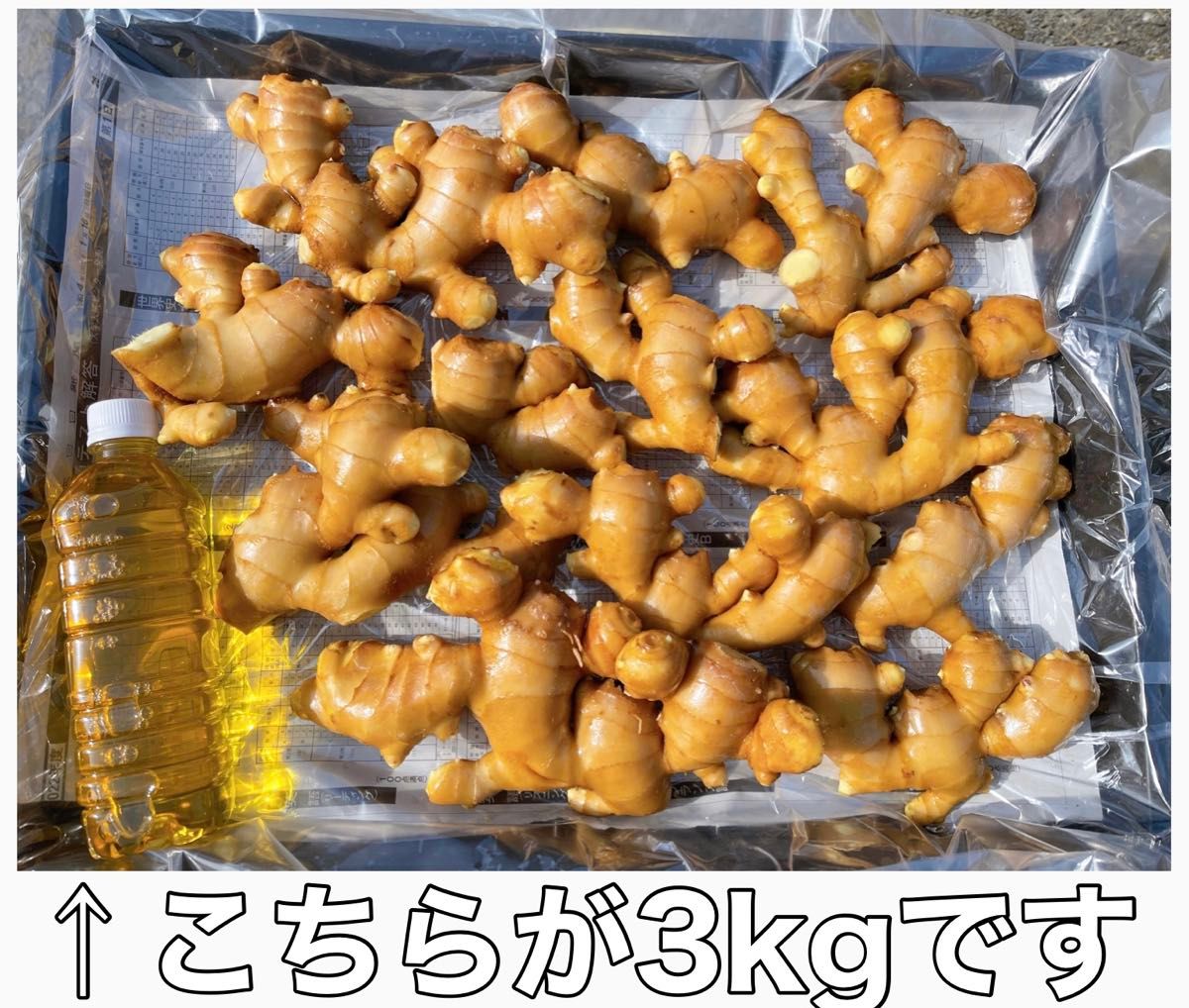 生姜2kg