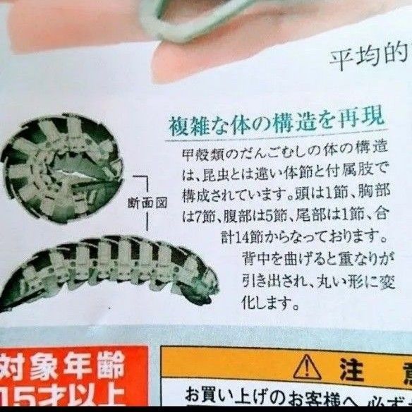 いきもの大図鑑 だんごむし02 全3種類 新品 大きさ1000%のボリューム 昆虫 カプセルトイ ガチャ ガシャポン