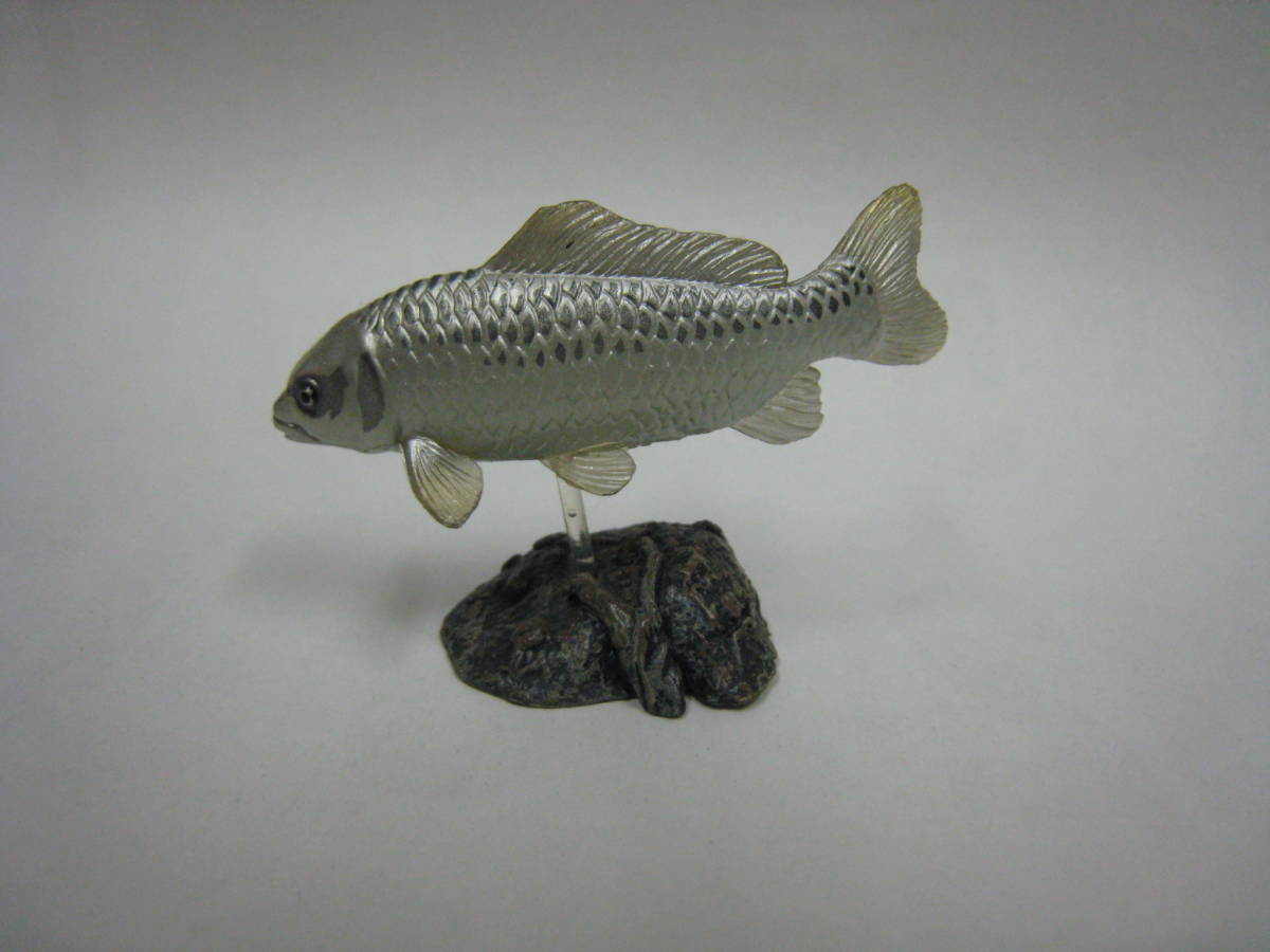ヤフオク 原色淡水魚図鑑 改訂版 シークレット 人 ヤフオク 原色淡水魚図鑑 改訂版 シークレット 人