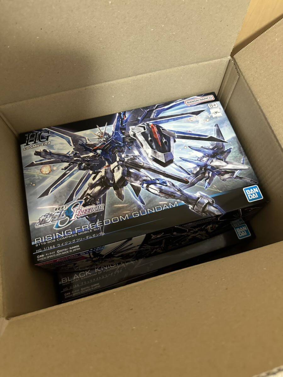 【送料込み】HG ライジングフリーダムガンダム ブラックナイトスコードシヴァの2体セットFREEDOM 未組立 ガンプラ 機動戦士ガンダムSEED _画像7