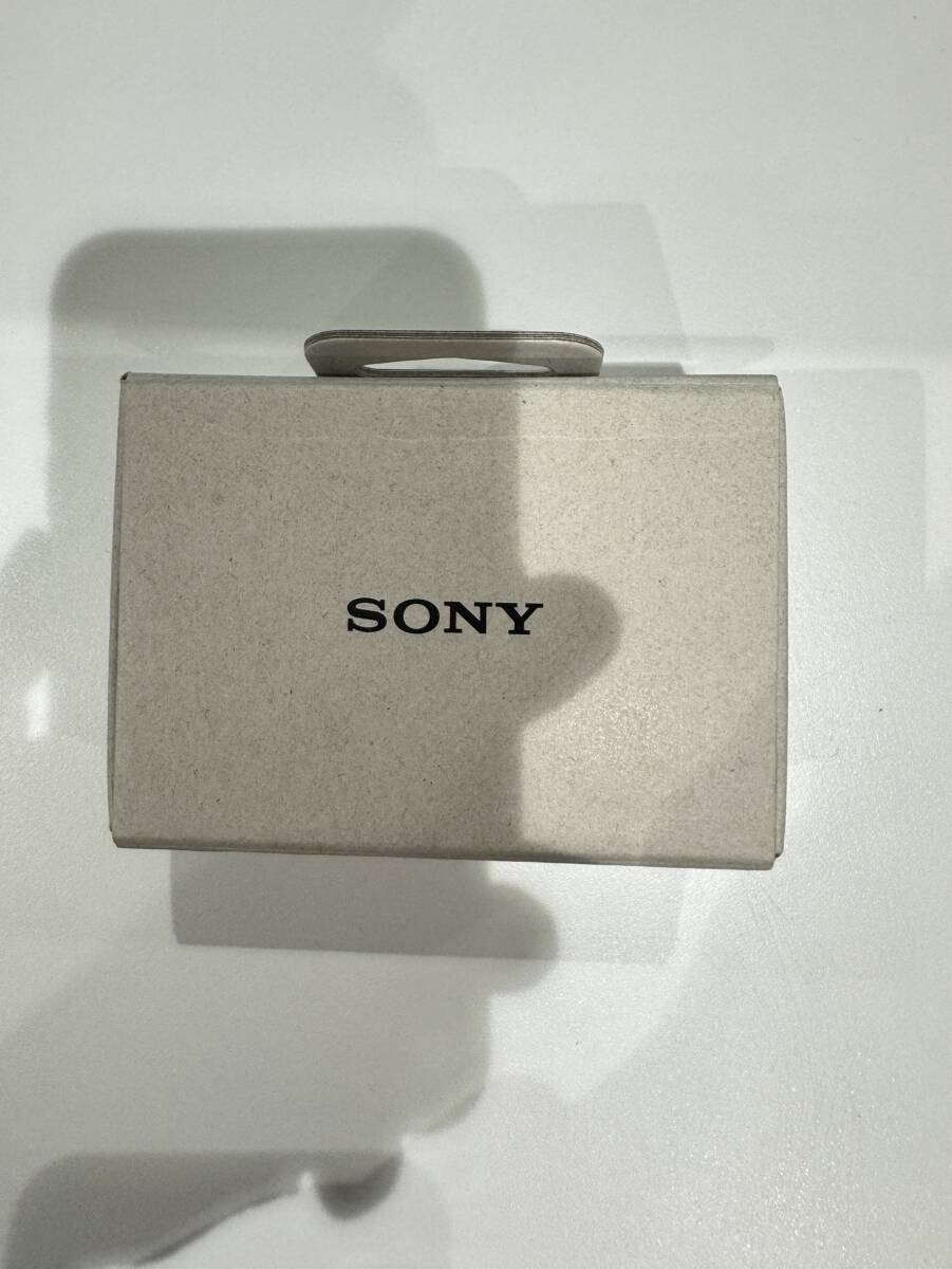 1円スタート ジャンク品 ソニー　SONY ワイヤレスイヤホン WF-C500G ①_画像3