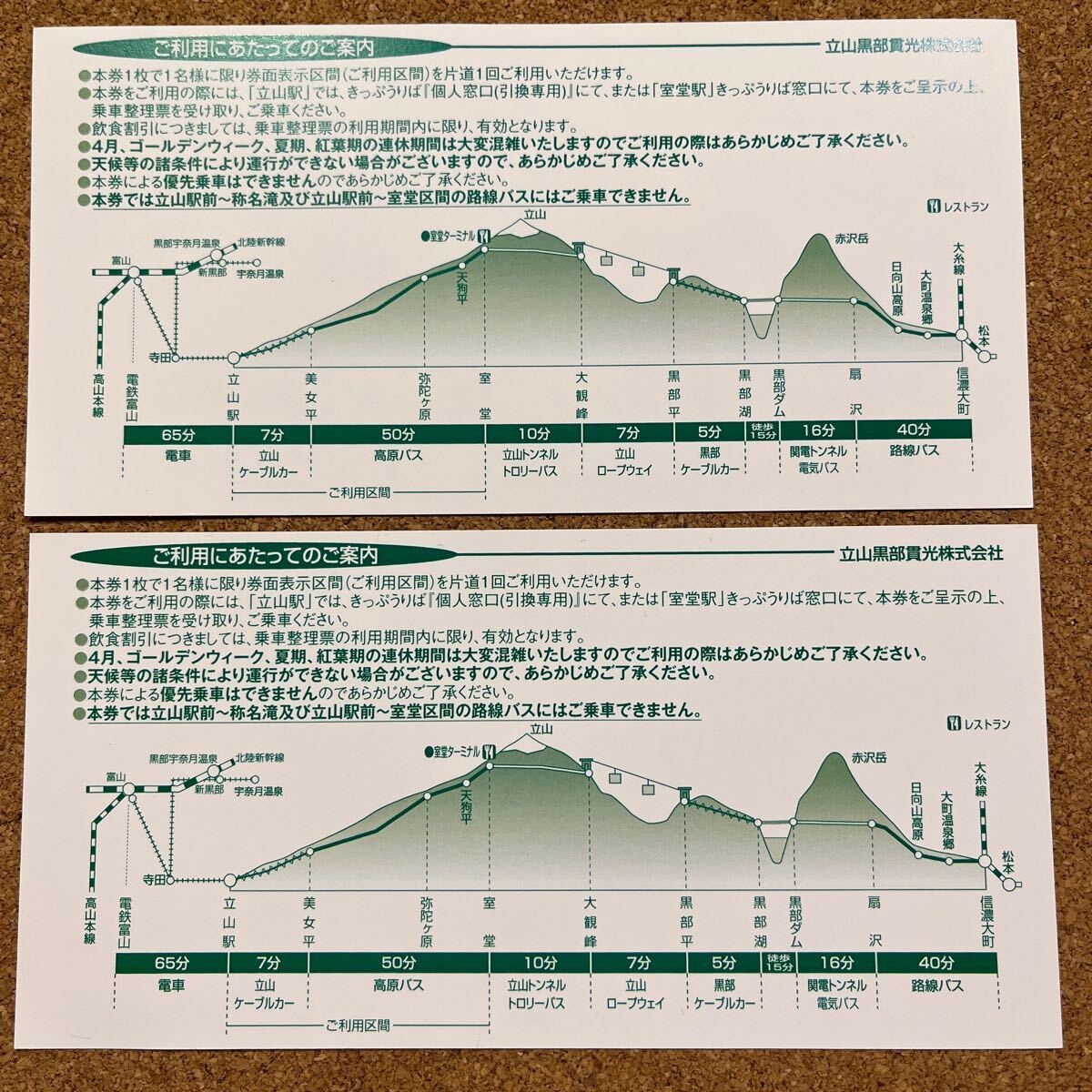 立山黒部アルペンルート 株主優待券　乗車券　立山駅　室堂_画像2