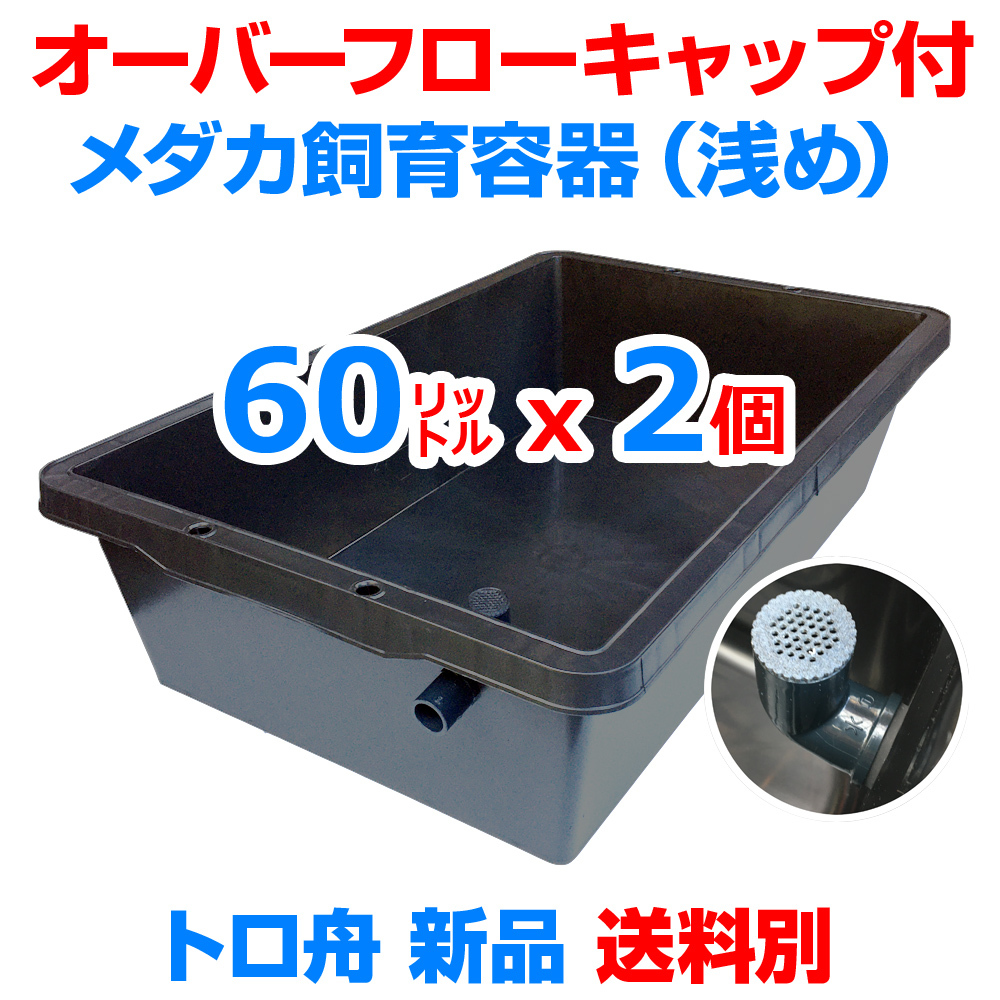 メダカ飼育ケース【60㍑トロ舟 2個 オーバーフローキャップ付】送料別 めだか飼育容器 金魚 メダカ掬い ビオトープ 水草【五色アクア】_画像1