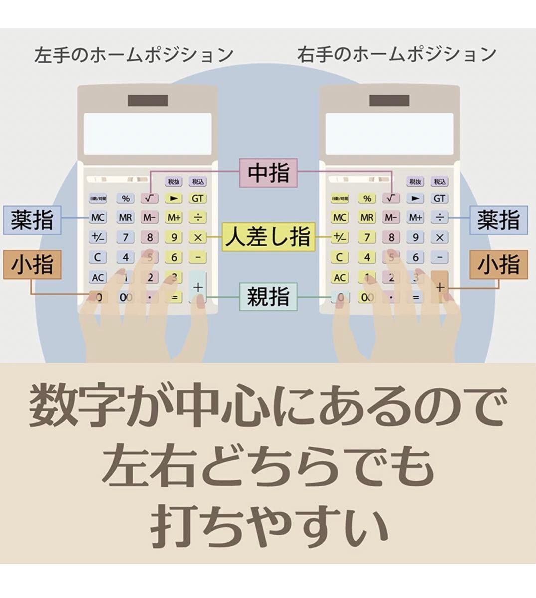 カシオ 本格実務電卓 12桁 グリーン購入法適合 DS-20WKA-N