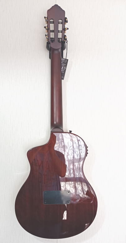 Ortega TourPlayer エレガット・ギターRTPSTD-NAT ギグバッグ付属 Ortega TourPlayer エレガット・ギターRTPSTD-NAT ギグバッグ付属
