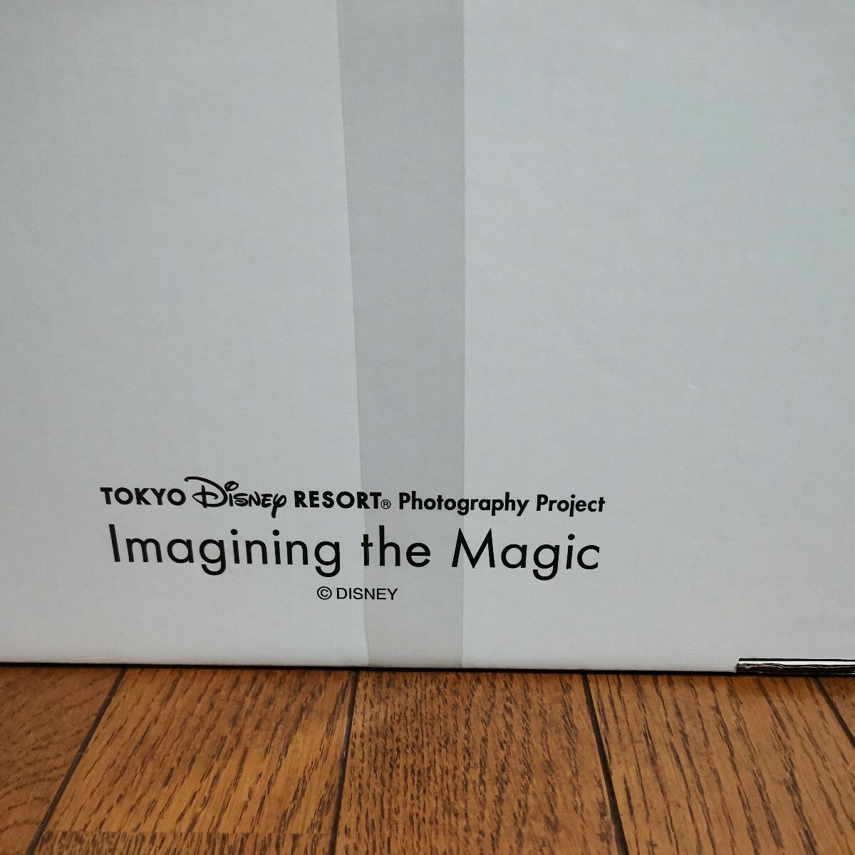 東京ディズニーリゾート「イマジニング・ザ・マジック」グッズアートパネル ファンダフルディズニー会員限定 商品 TOKYO Disney サイン入り_画像4