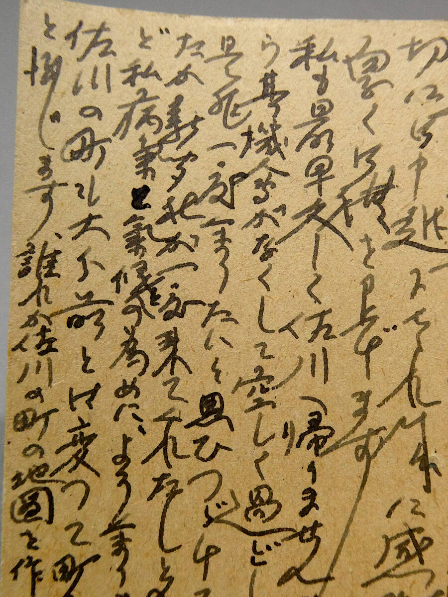 ... Taro * self writing brush autograph genuine writing brush leaf paper * Showa era 25 year *.. Kochi prefecture height hill district bamboo . cheap right .. addressed to * plant .. .[.. Japan plant illustrated reference book ][.. and . is no ]