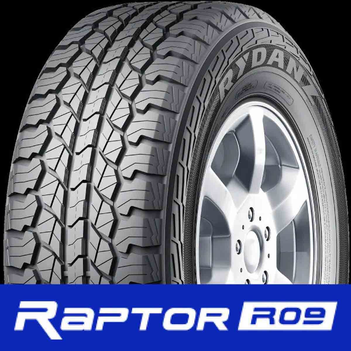 265/50R20 レイダン RYDANZ RAPTOR R09 1本単位 Z0173 265 50 20 20インチ 国産コンフォートタイヤ シバタイヤ_画像1