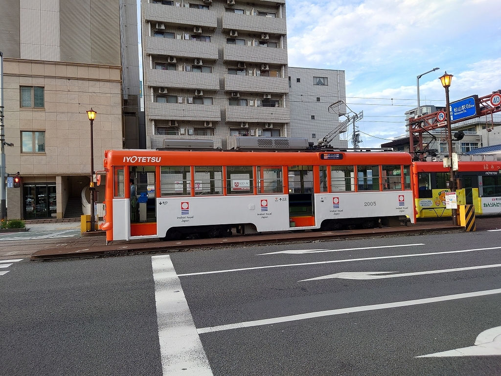 今治タオル サウナハット Lサイズ ベージュ 綿100％ コットン 日本製 シャーリング生地 新居田物産_画像8