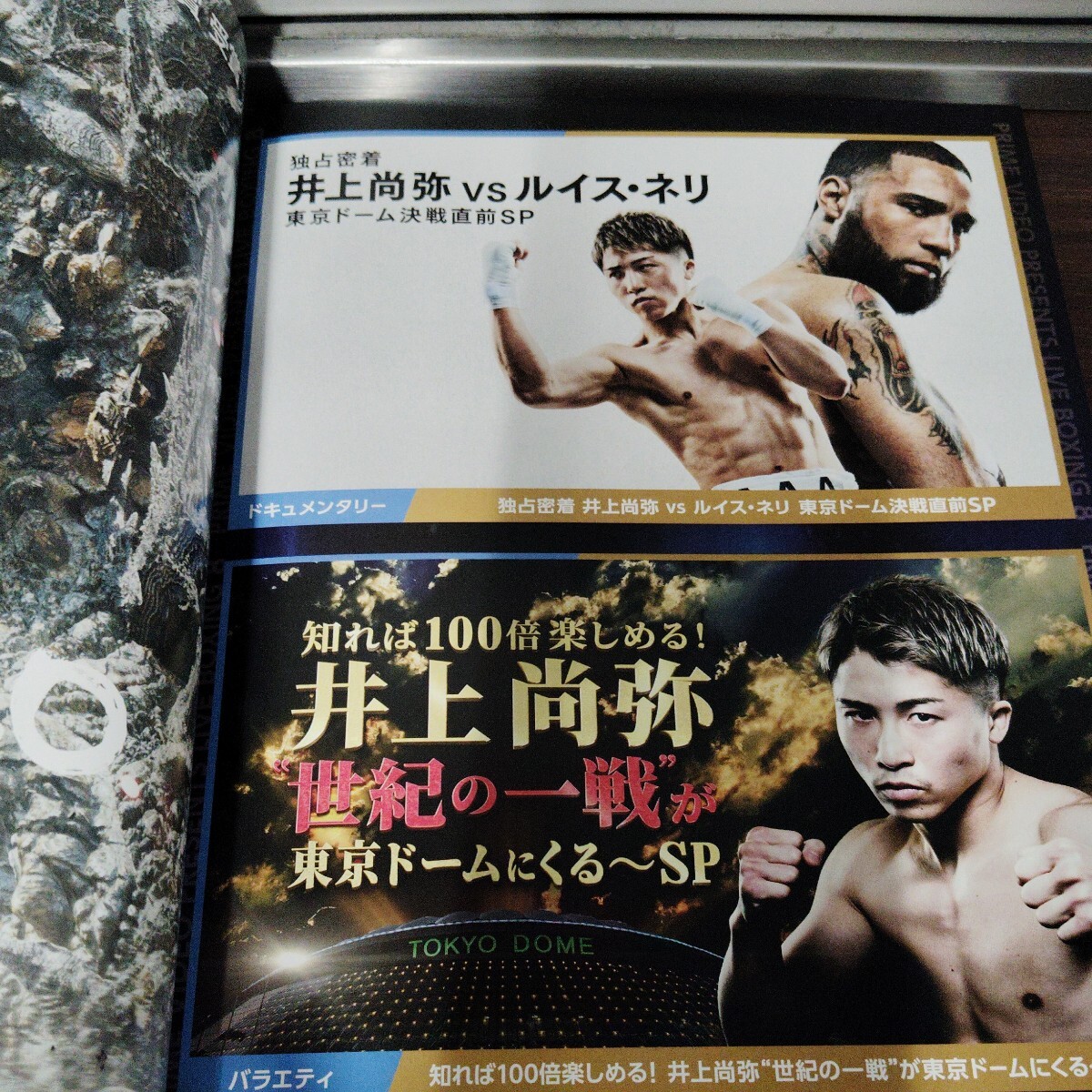 Yahoo!オークション - 井上 尚弥 VS ルイス ネリ 2024年5月5日 Yahoo!オークション - 井上 尚弥 VS ルイス ネリ 2024年5月5日