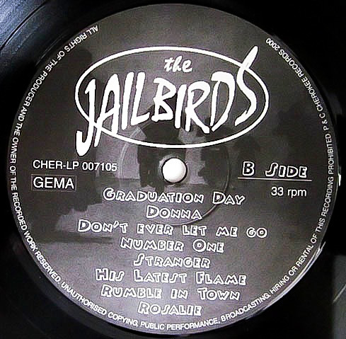 ほぼ新品同様 ★ 廃盤 LP レコード ★ 超人気 メロディアス ネオロカ !!! 名盤 2nd アルバム ★ The JAILBIRDS ★ ドイツ ネオロカビリー_画像8