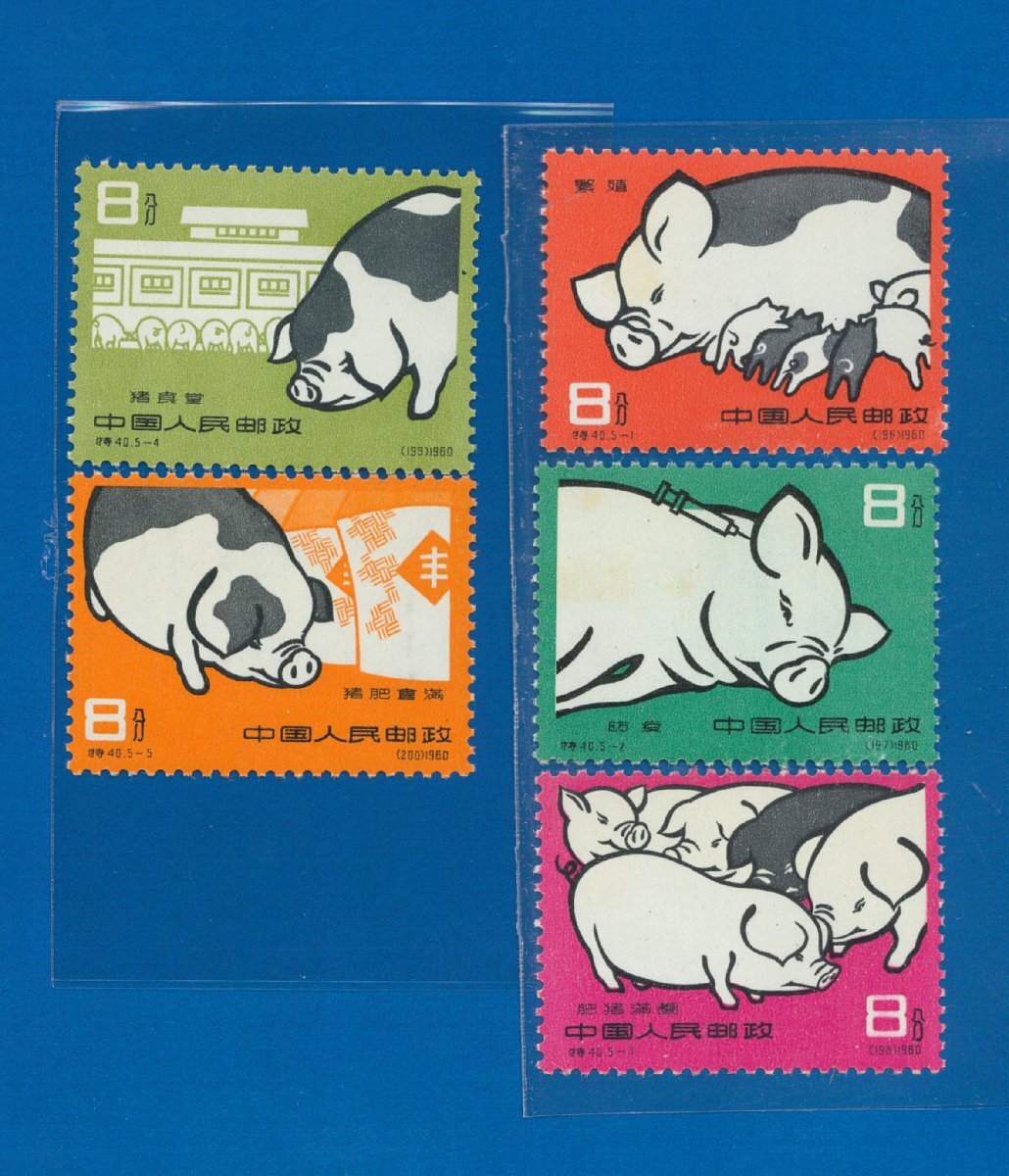 *7905 China stamp Special 40. pig 5 kind . postal 1