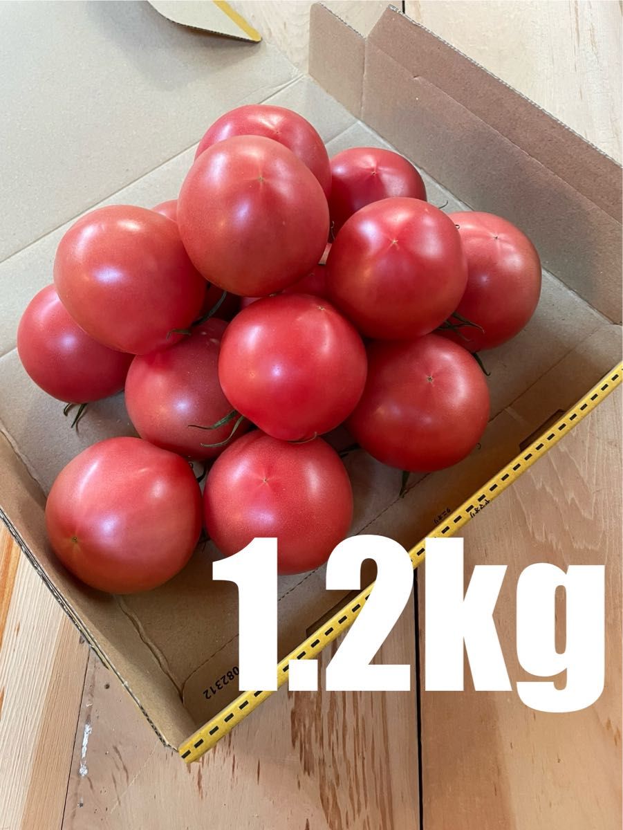 静岡県産　トマト　中玉　1.2kg 減農薬　農家直送