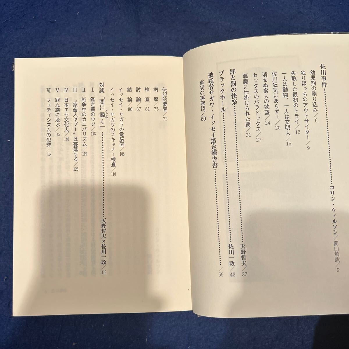 パリ人肉事件◆佐川一政の精神鑑定◆コリン・ウィルソン◆天野哲夫◆狂気にあらず？◆小説◆読み物_画像6