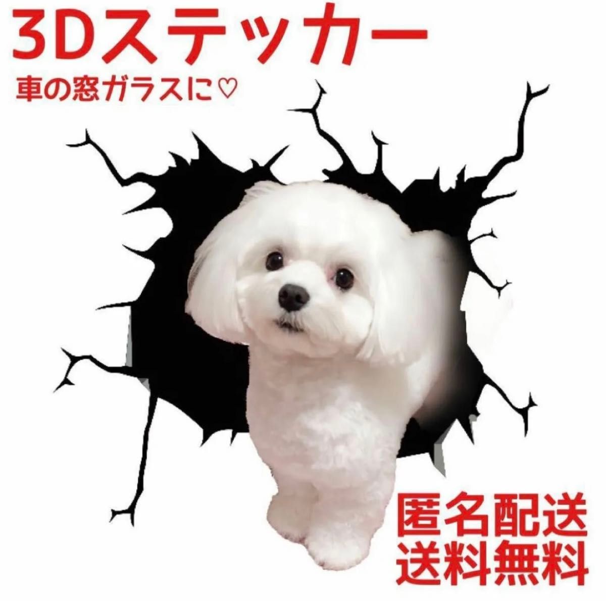 新品！　匿名配送！ステッカー　車　３Ｄプリント　面白い マルチーズ　シール カー用品　飾り　犬　小型犬　 傷隠し　3D ペット