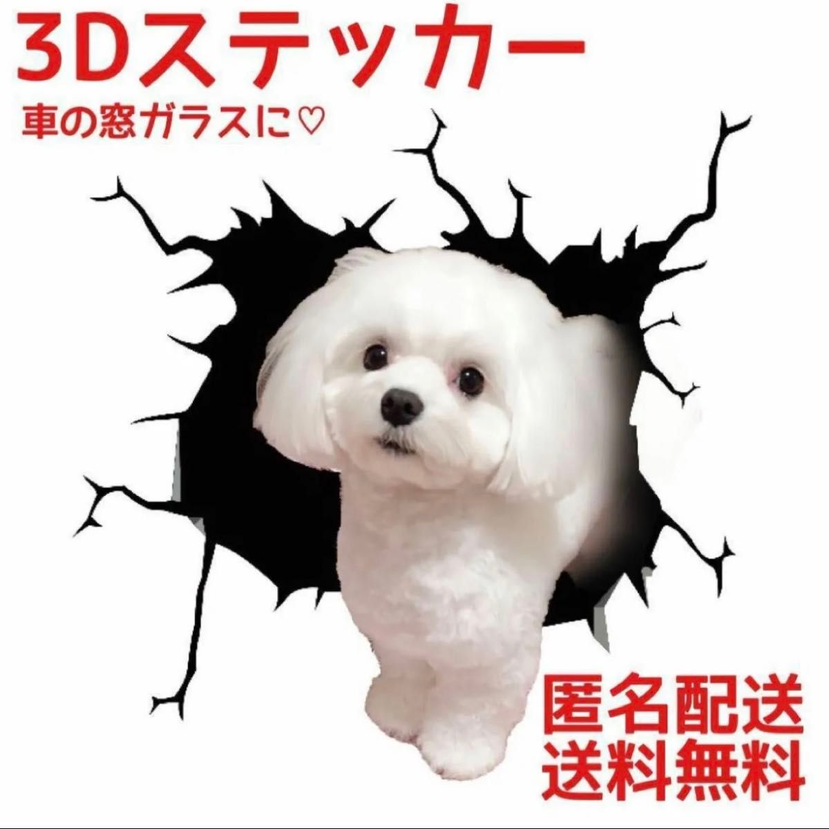 新品！　匿名配送！ステッカー　車　３Ｄプリント　面白い マルチーズ　シール カー用品　飾り　犬　小型犬　 傷隠し　3D ペット