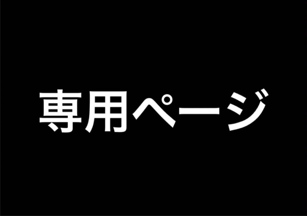 【ナユコ様専用】ナイキズームXヴェイパーフライネクスト２%/EKIDEN