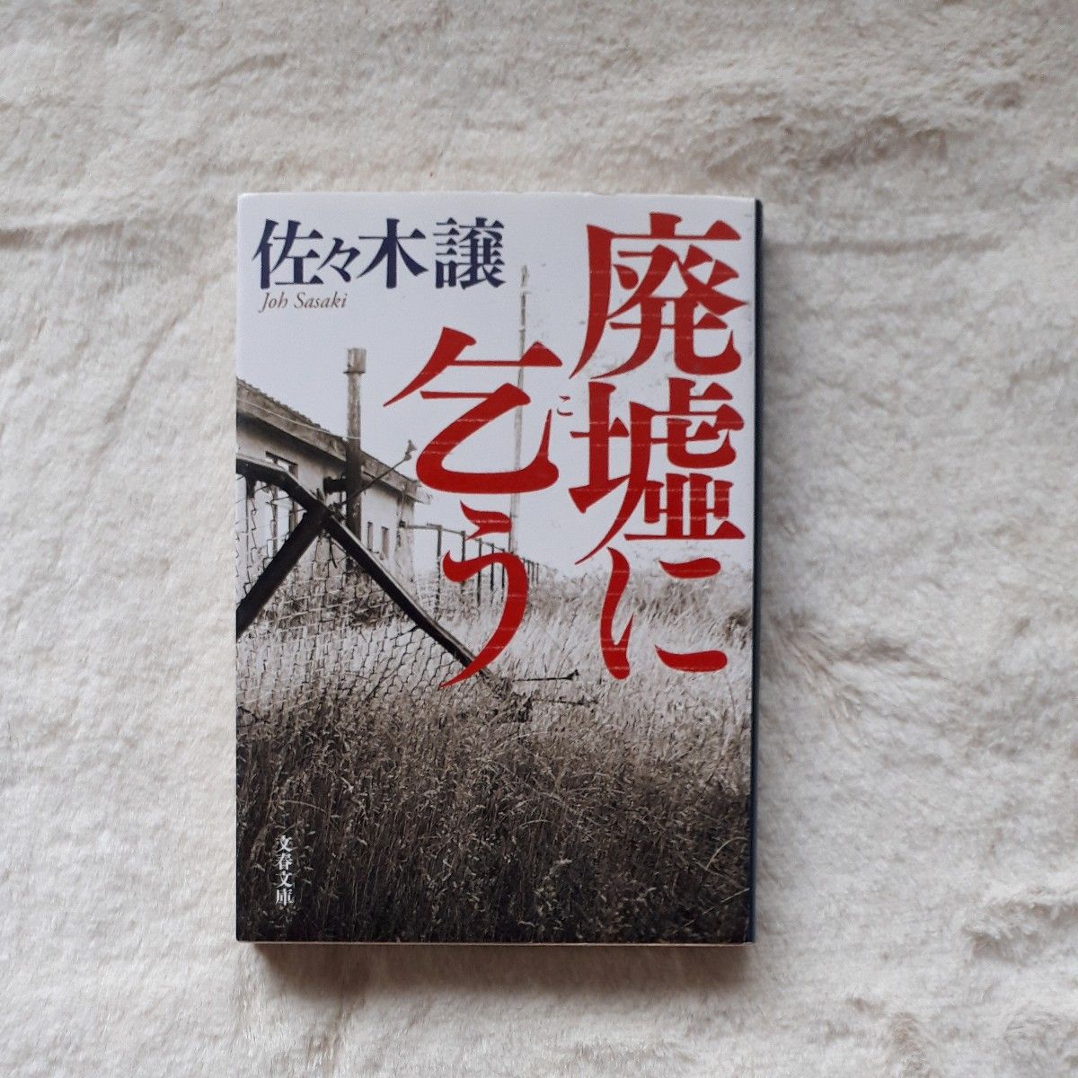 廃墟に乞う （文春文庫　さ４３－５） 佐々木譲／著