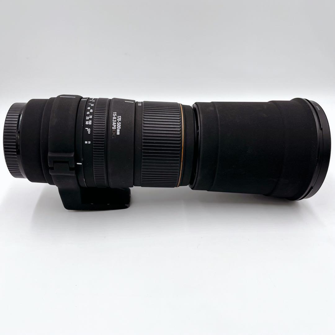 SIGMA シグマ キャノン EFマウント 望遠レンズ 170-500mm 1：5-6.3 APO DG ポーチ付 運動会 野鳥観察 MADE IN JAPAN_画像7