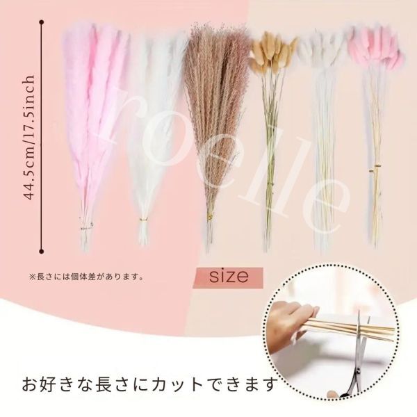  dry flower material for flower arrangement set high capacity 60 pcs set Lead gla Span Pas glass ba knee tail interior Korea 