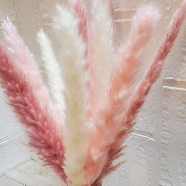  bread Pas gla spin k gradation dry flower tail Lead Mini tail Lead interior present bouquet material for flower arrangement pink 