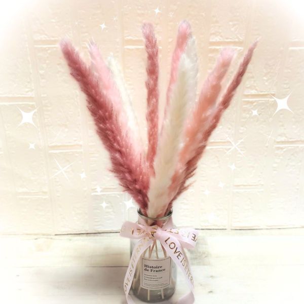  bread Pas gla spin k gradation dry flower tail Lead Mini tail Lead interior present bouquet material for flower arrangement pink 
