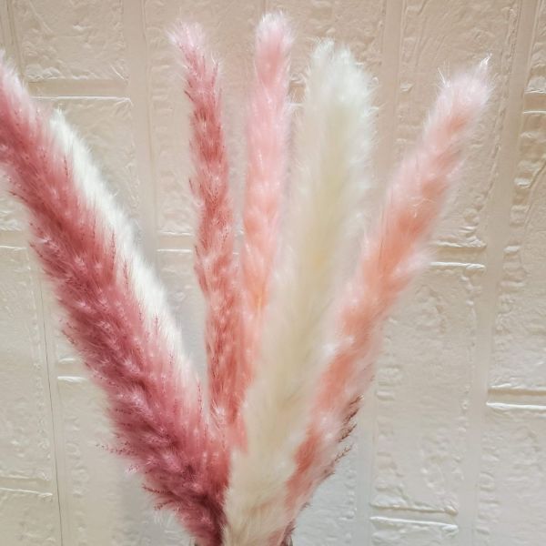  bread Pas gla spin k gradation dry flower tail Lead Mini tail Lead interior present bouquet material for flower arrangement pink 