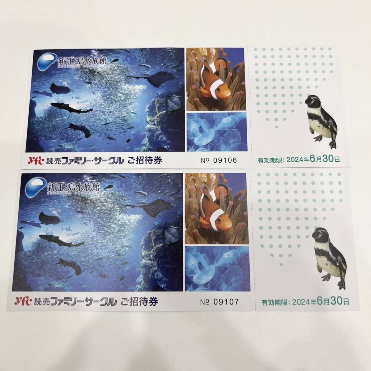 【K-28640】 新江の島水族館 YFC 読売ファミリーサークル ご招待券 2枚セット 2024年6月30日 1円スタート_画像1