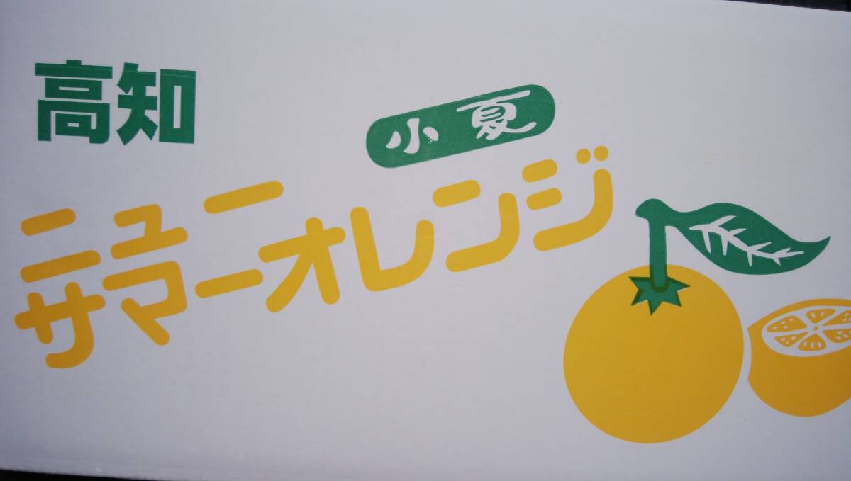 1 jpy ~[ Kochi prefecture production ] small summer A3L size approximately 5.~ home use ~