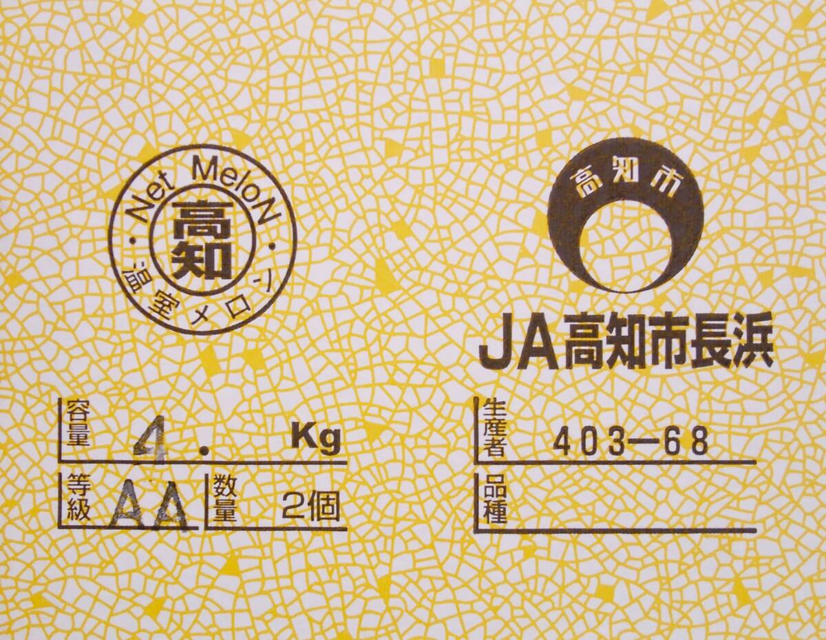 1円～【高知県産】 温室メロン AA2玉  約4.0㎏ の画像4